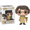 Funko Pop Harry Potter No:55 Figürü