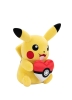 Pokemon Sevgililer Günü Serisi Pikachu Peluş 20 Cm