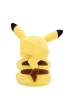 Pokemon Sevgililer Günü Serisi Pikachu Peluş 20 Cm