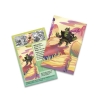 Pokemon Tcg Shrouded Fable Mini Tin Okidogi